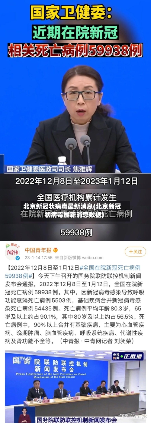 北京新冠状病毒最新消息(北京新冠状病毒最新消息数据)-第3张图片