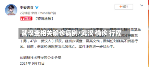 武汉查相关确诊病例/武汉 确诊 行程-第3张图片