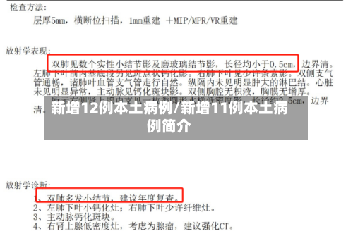 新增12例本土病例/新增11例本土病例简介
