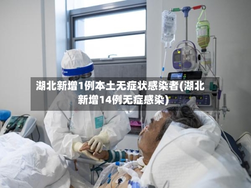 湖北新增1例本土无症状感染者(湖北新增14例无症感染)-第2张图片