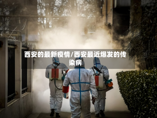 西安的最新疫情/西安最近爆发的传染病-第2张图片