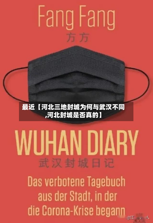 最近【河北三地封城为何与武汉不同,河北封城是否真的】-第3张图片