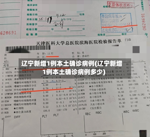 辽宁新增1例本土确诊病例(辽宁新增1例本土确诊病例多少)-第1张图片