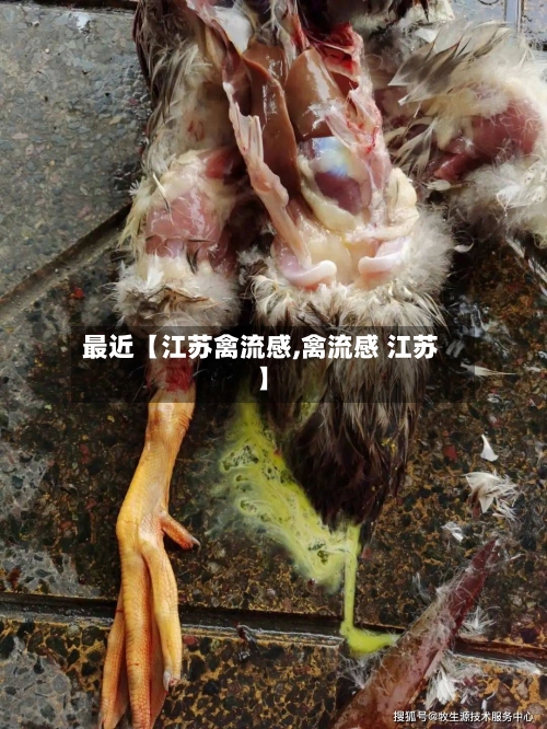 最近【江苏禽流感,禽流感 江苏】-第3张图片