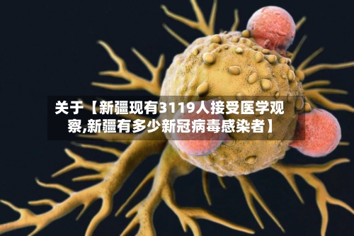 关于【新疆现有3119人接受医学观察,新疆有多少新冠病毒感染者】-第2张图片